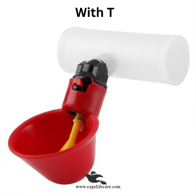 Imported Auto Water Cup - for Poultry & Pigeons