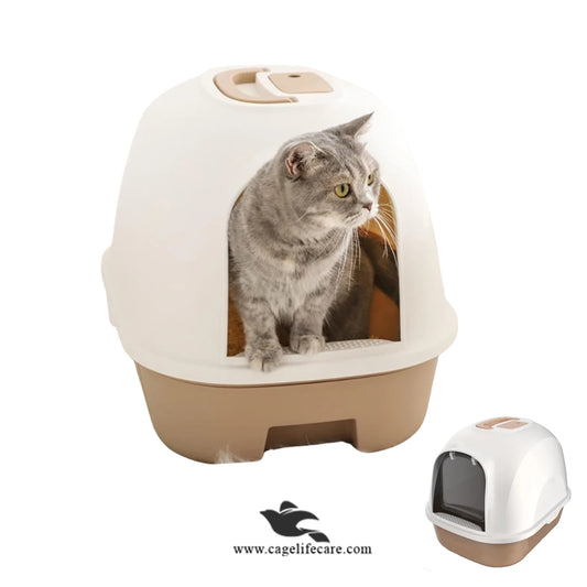 Imported Cat Litter Box – High-Quality D Shape with Scoop & Front Entry