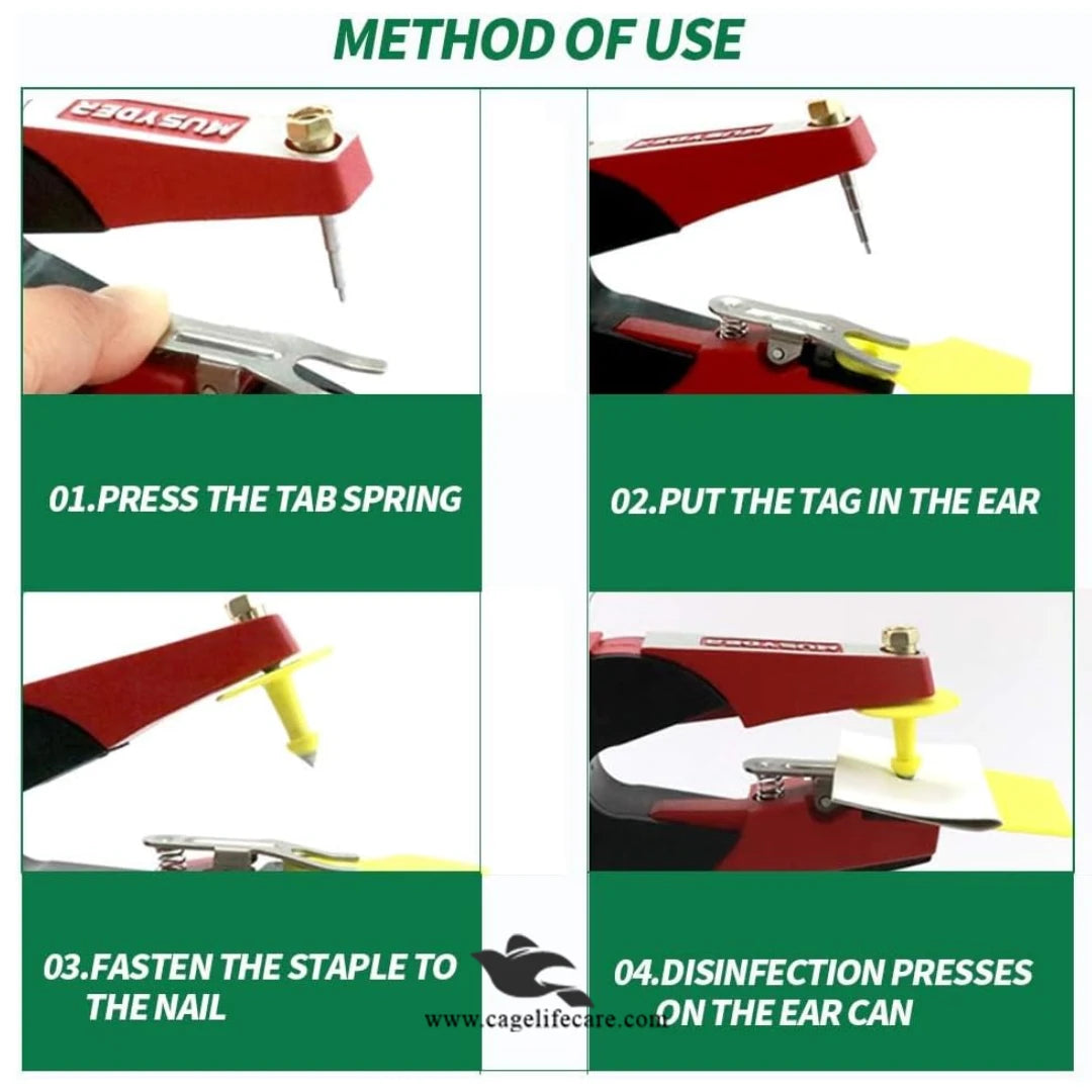 Customized Z ear tags for livestock management and identification