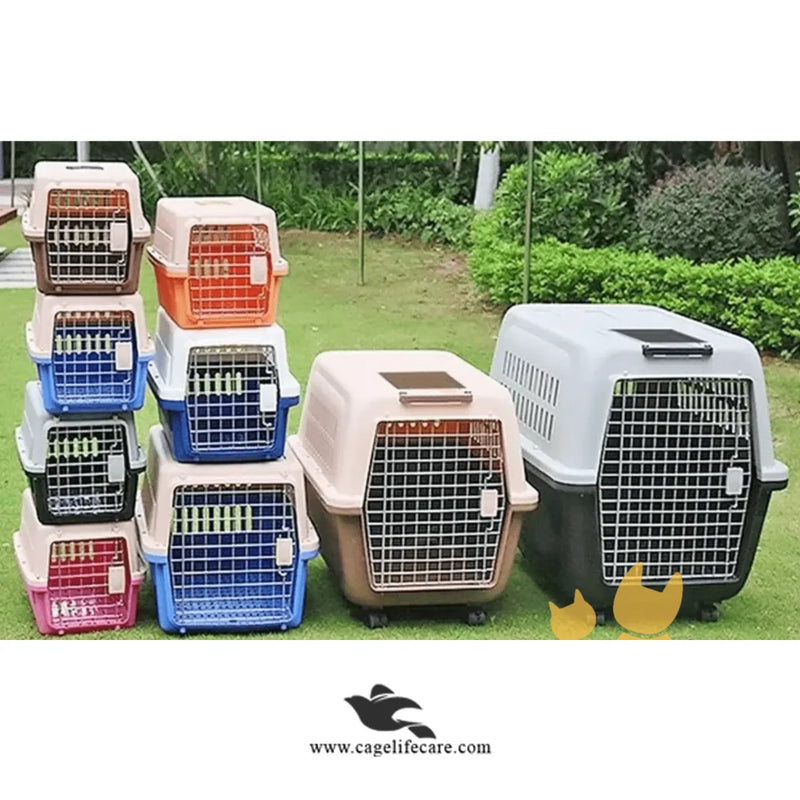 Jetbox Airline-Approved Pet Carrier for Cats & Dogs - Imported