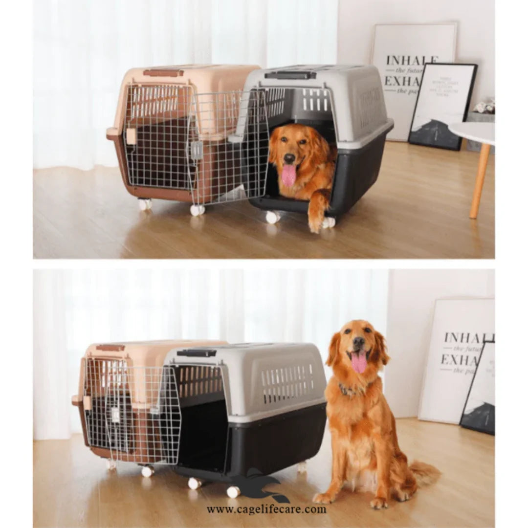 Imported Jet Box Airline-Approved Pet Carrier for Cats & Dogs