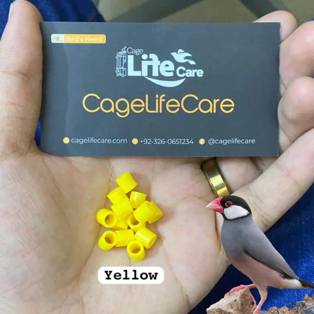 Java Sparrows Plastic Cut Rings – 3.5mm (Imported) Yellow Color Rings
