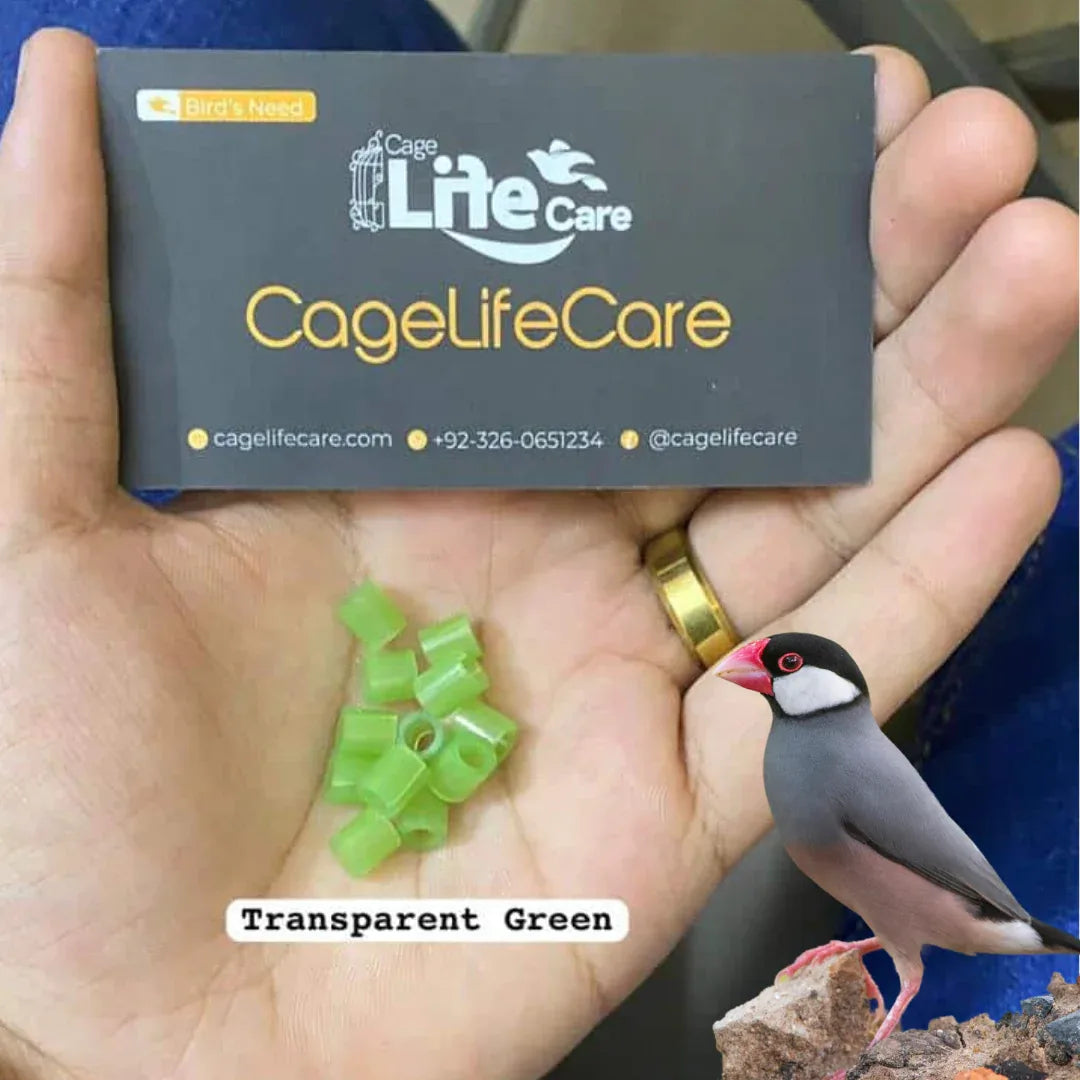 Java Sparrows Plastic Cut Rings – 3.5mm (Imported) TRansparent Green Color Rings