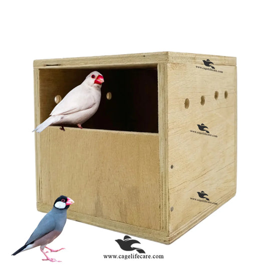 java sparrows wood breeding box
