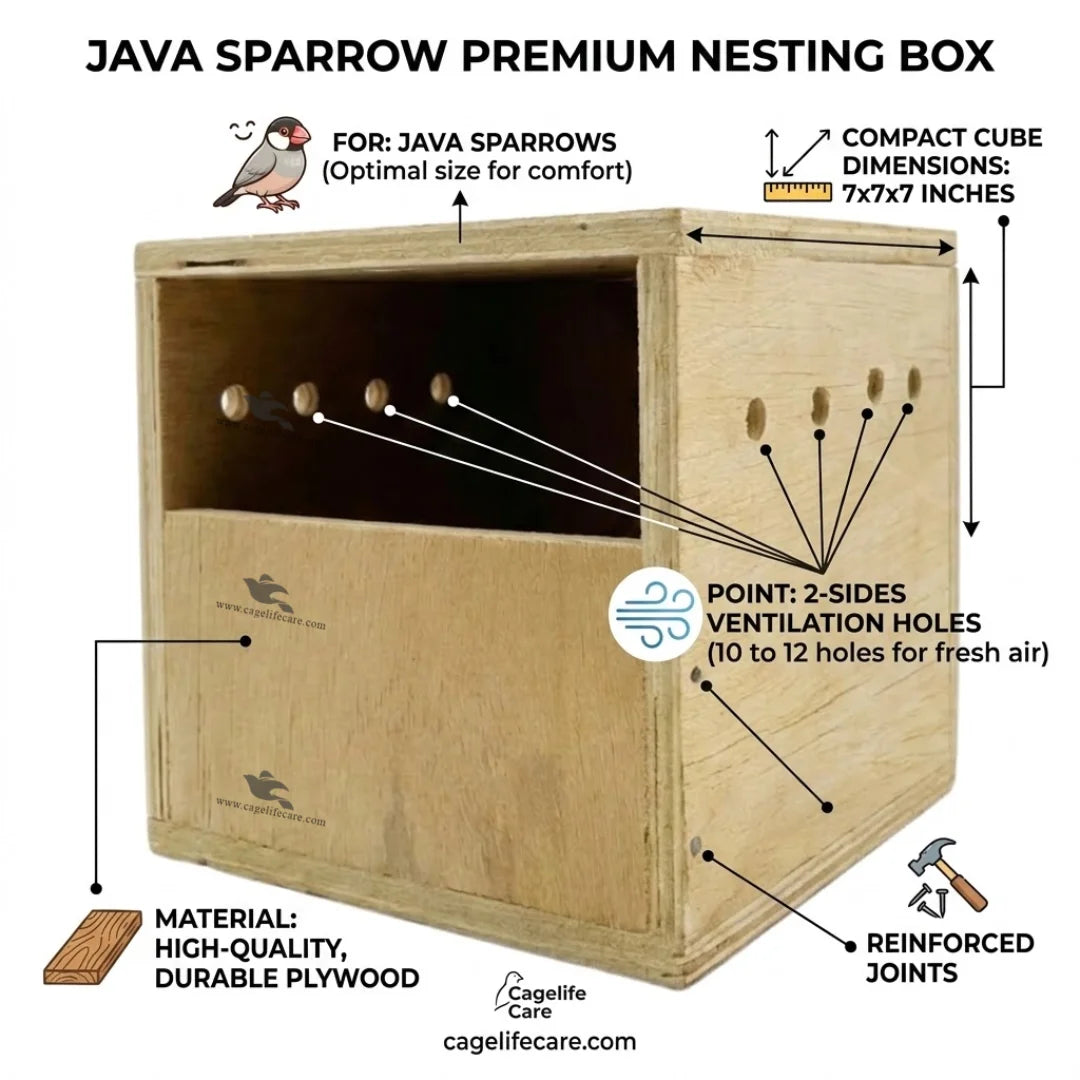 java sparrow nesting box plywood
