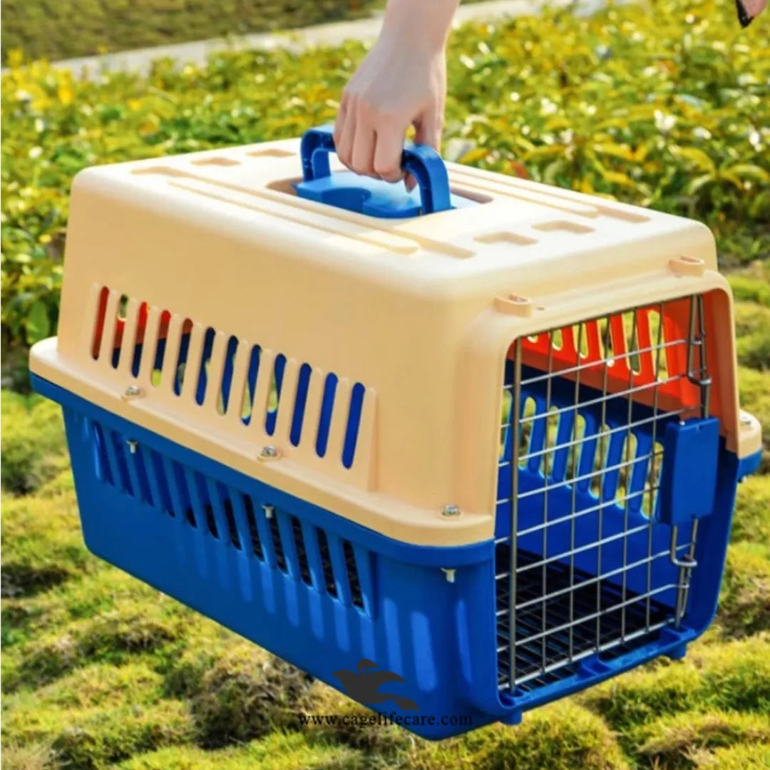 Jetbox Pet Carrier for Cats & Puppies – Secure, Travel-Friendly