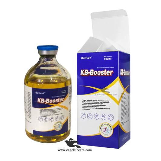 KB-BOOSTER Amino Acid Vitamin B Oral Solution