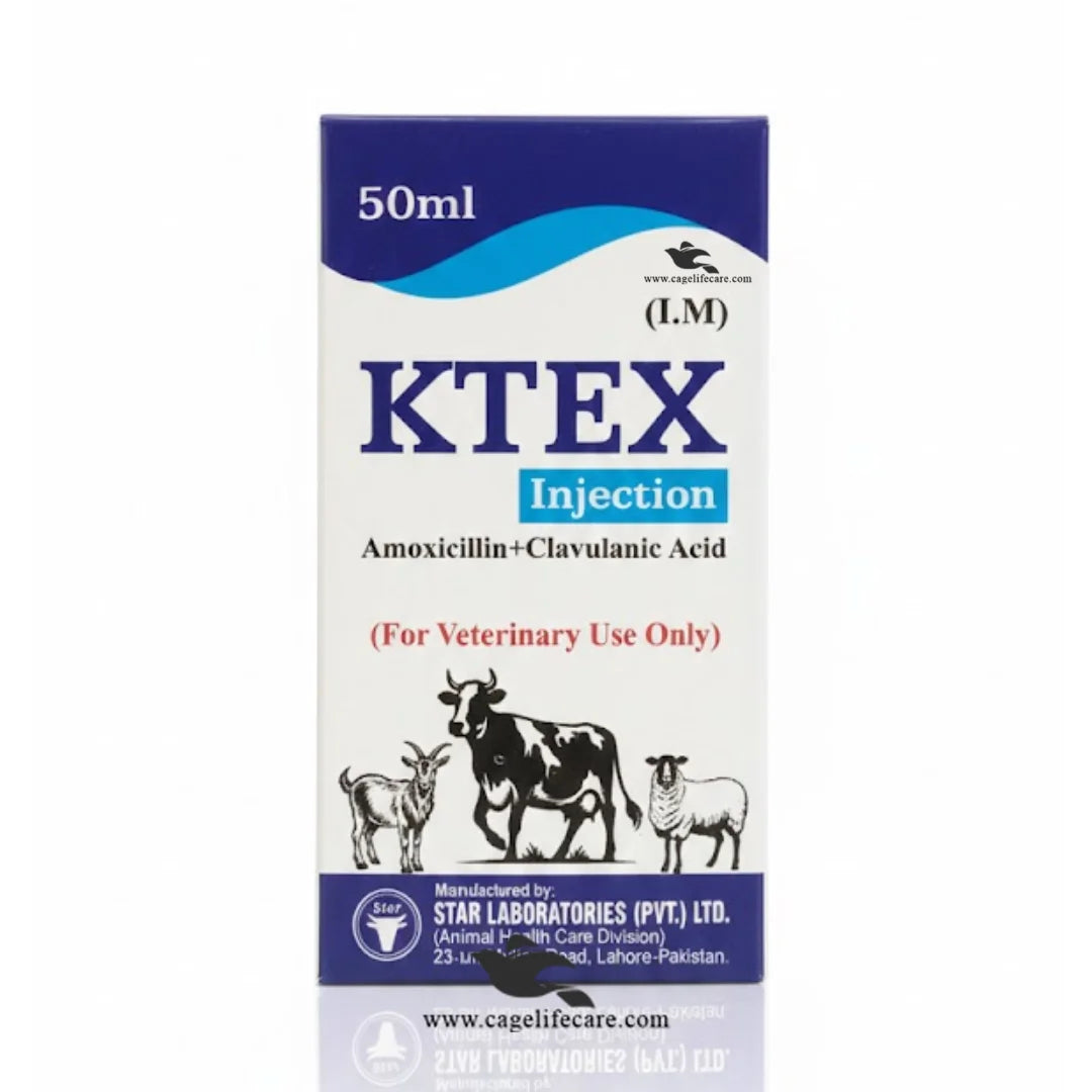 Kovex Injection KTEX Injection – Amoxicillin + Clavulanic Acid (Livestock) – Cage Life Care