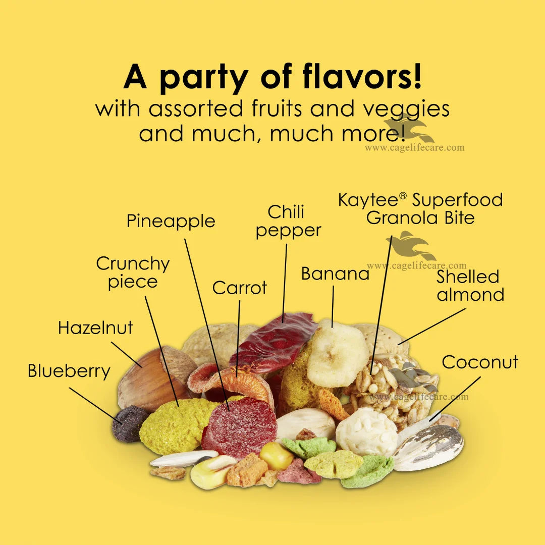 Kaytee Fiesta Macaw Food — Premium Gourmet Complete Diet for Macaws and Cockatoos