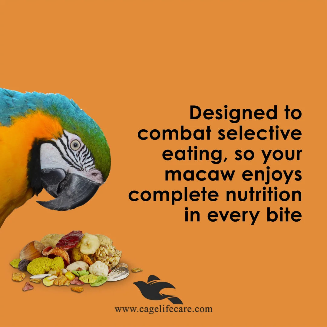 Kaytee Fiesta Macaw Food with Omega-3 fatty acids and beneficial microorganisms