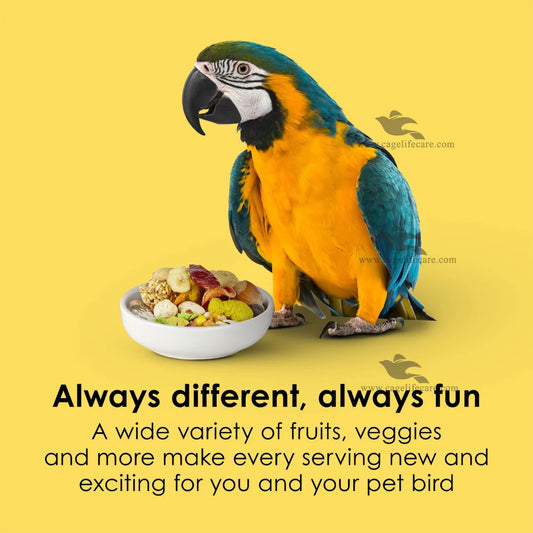 Kaytee Fiesta gourmet food for macaws and cockatoos with varied textures