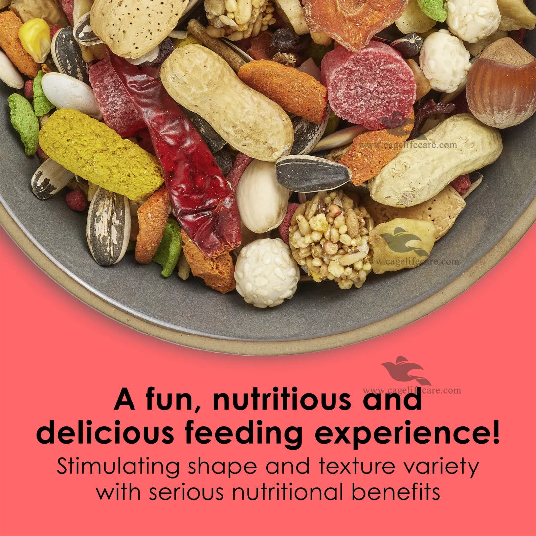 Kaytee Fiesta Macaw Food with seeds grains nuts fruits and vegetables