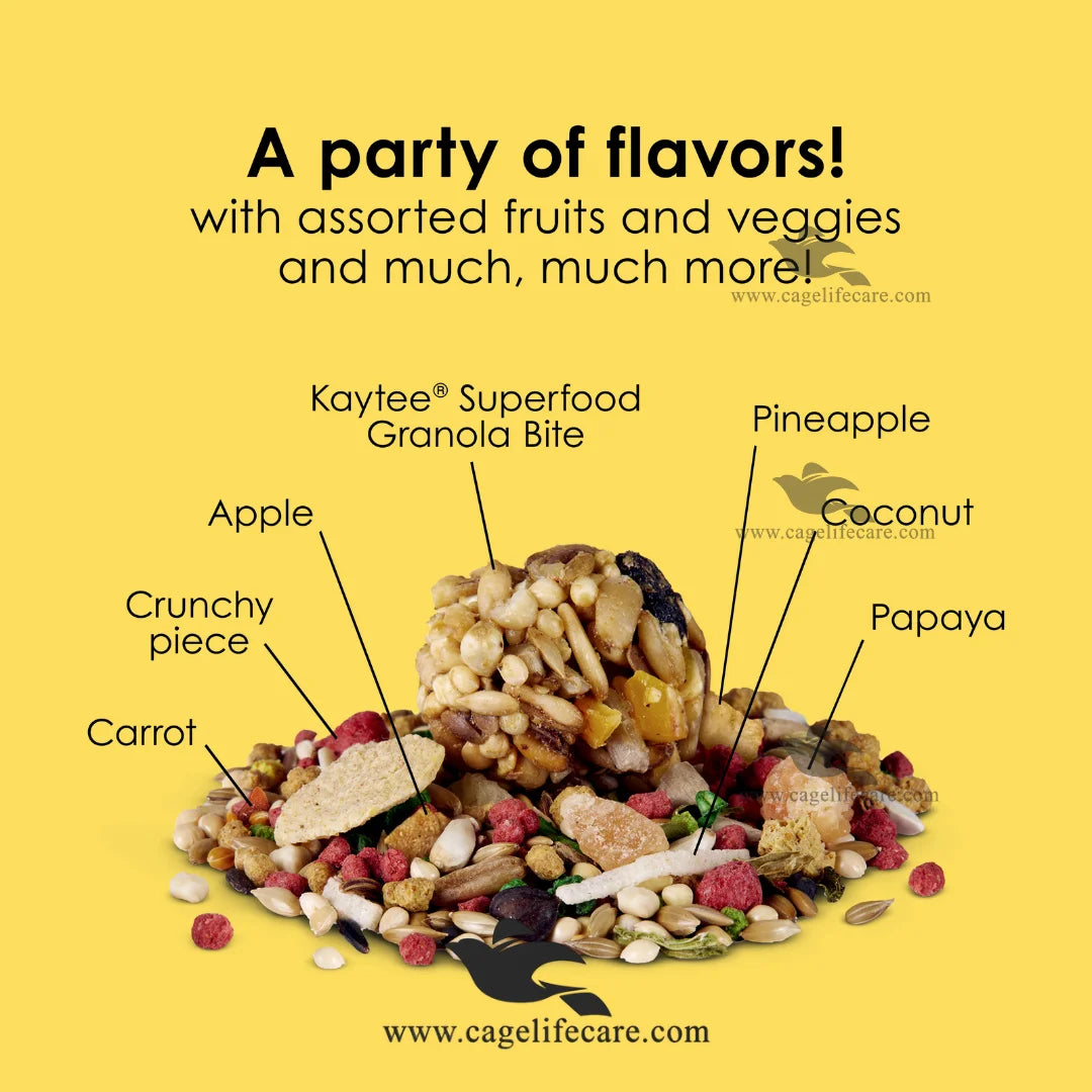 Kaytee Fiesta small parrot food with Omega-3 fatty acids and beneficial microorganisms