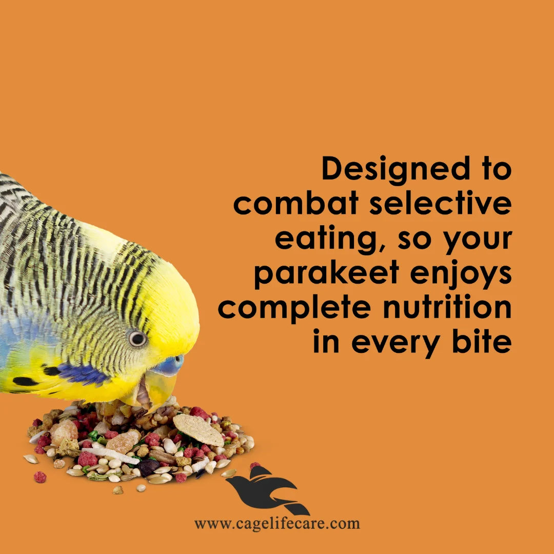 Kaytee Fiesta Parakeet Food with fruits vegetables and natural seed variety