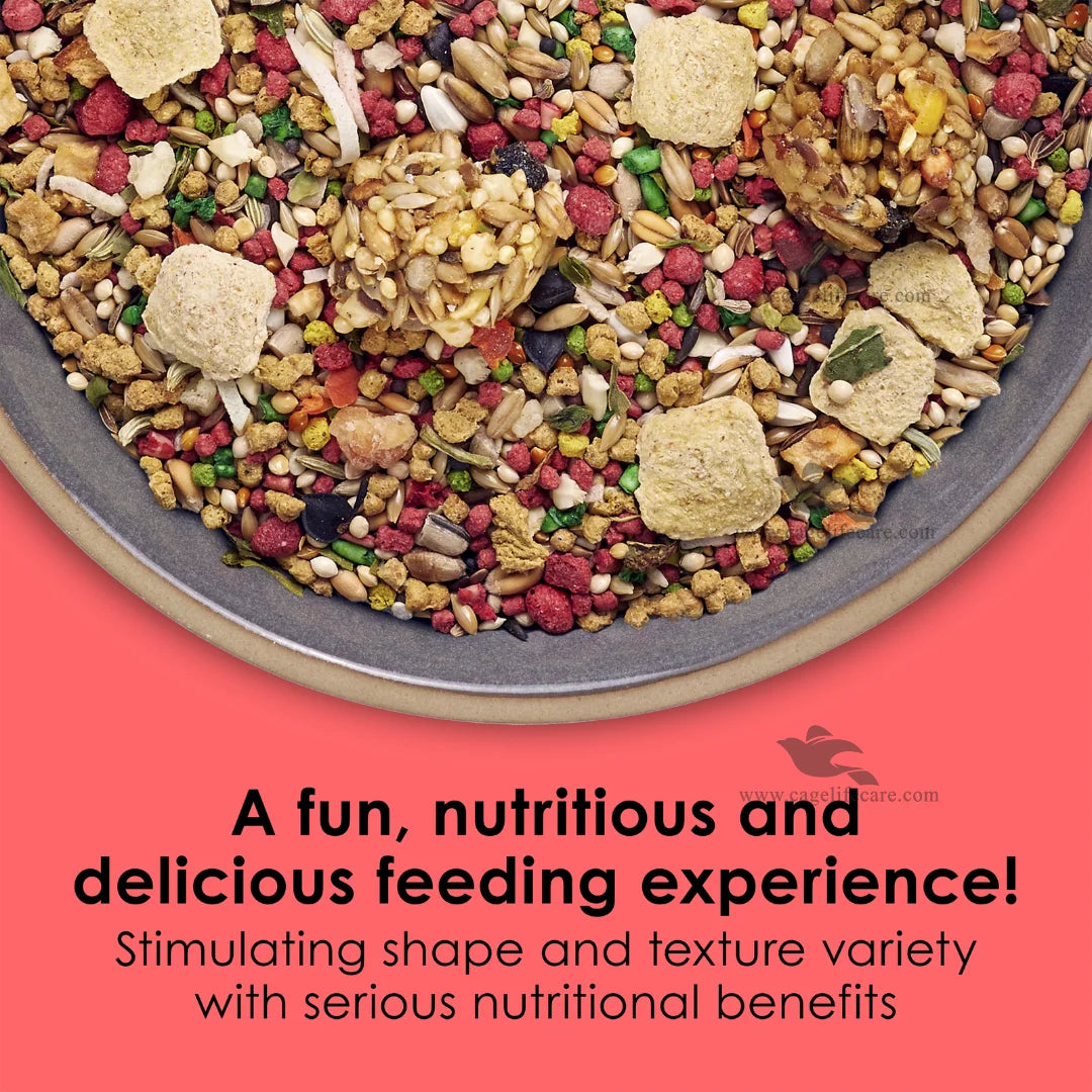 Kaytee Fiesta Parakeet Food for Small Parrots imported from the USA