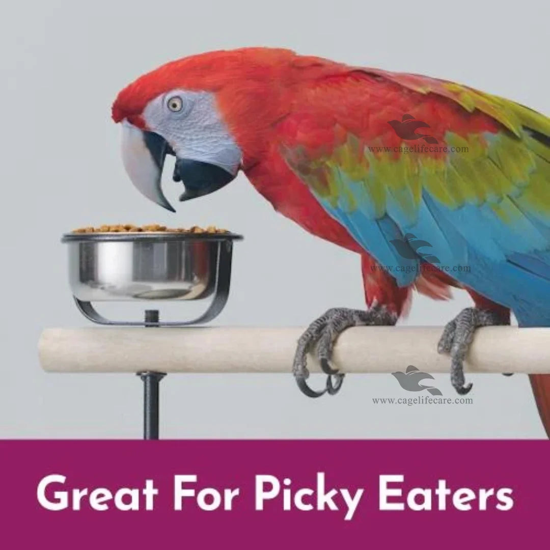 Kaytee NutriSoft food for Macaws Cockatoos African Greys and other large parrots at Cage Life Care Pakistan