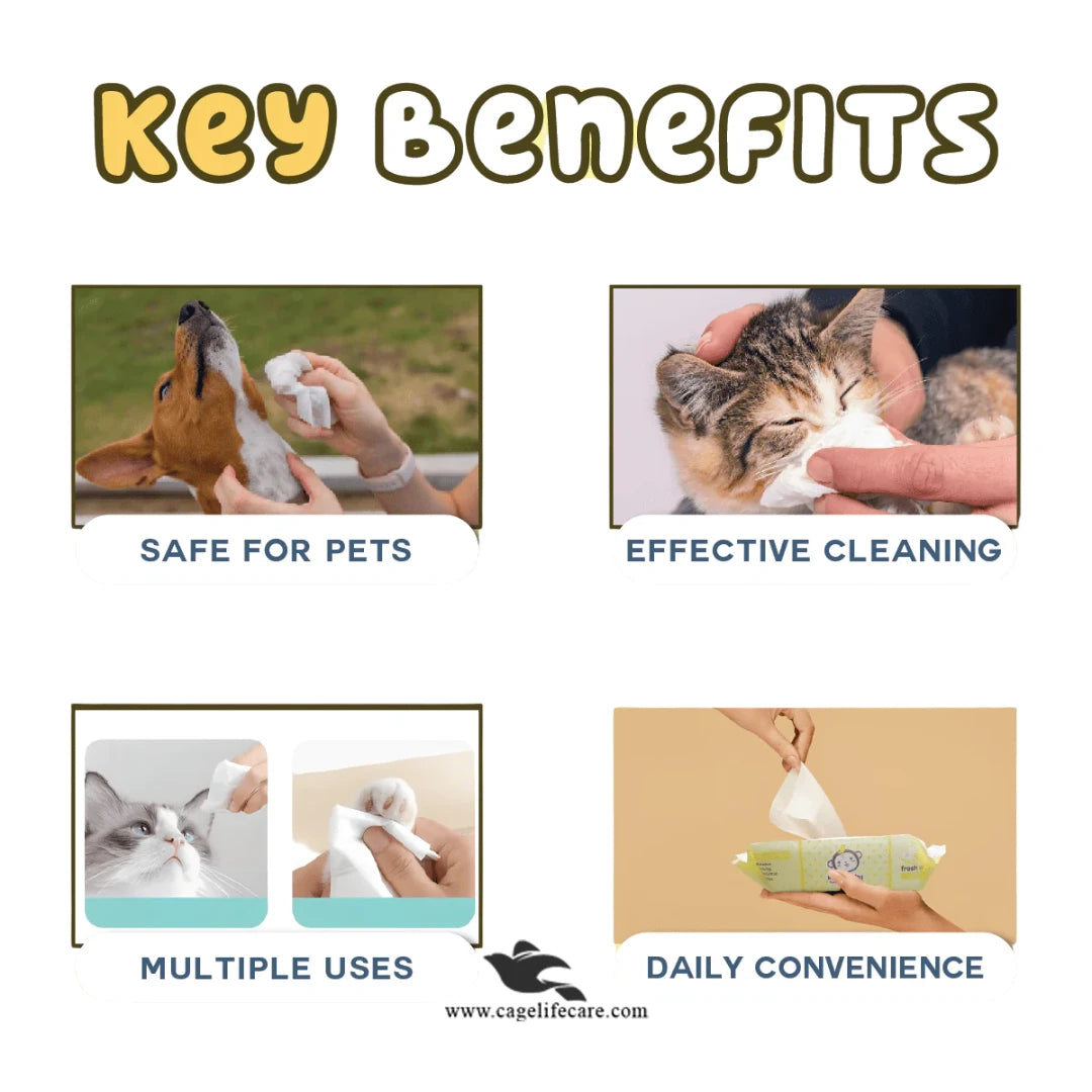 Pet wipes for dogs and cats – antibacterial grooming wipes
