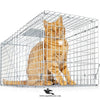 Large Iron Trap Cage for Cats & Animals