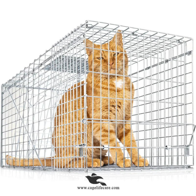 Large Iron Trap Cage for Cats & Animals