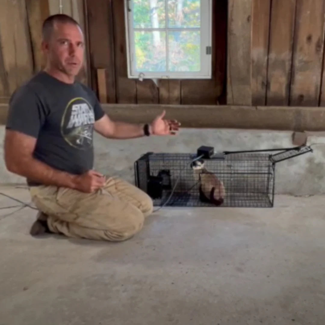 Large Iron Trap Cage for Cats & Animals