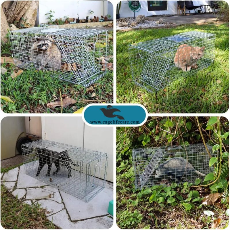 Large Iron Trap Cage for Cats & Animals