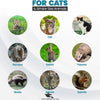 Large Iron Trap Cage for Cats & Animals