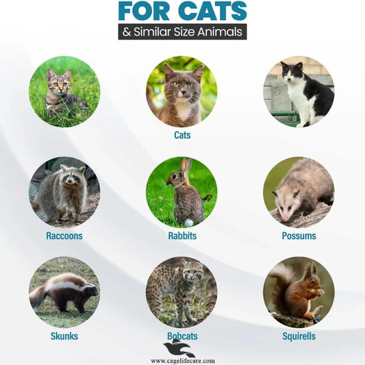 Large Iron Trap Cage for Cats & Animals raccons rabbits rossums skunks babcots squirels and many more