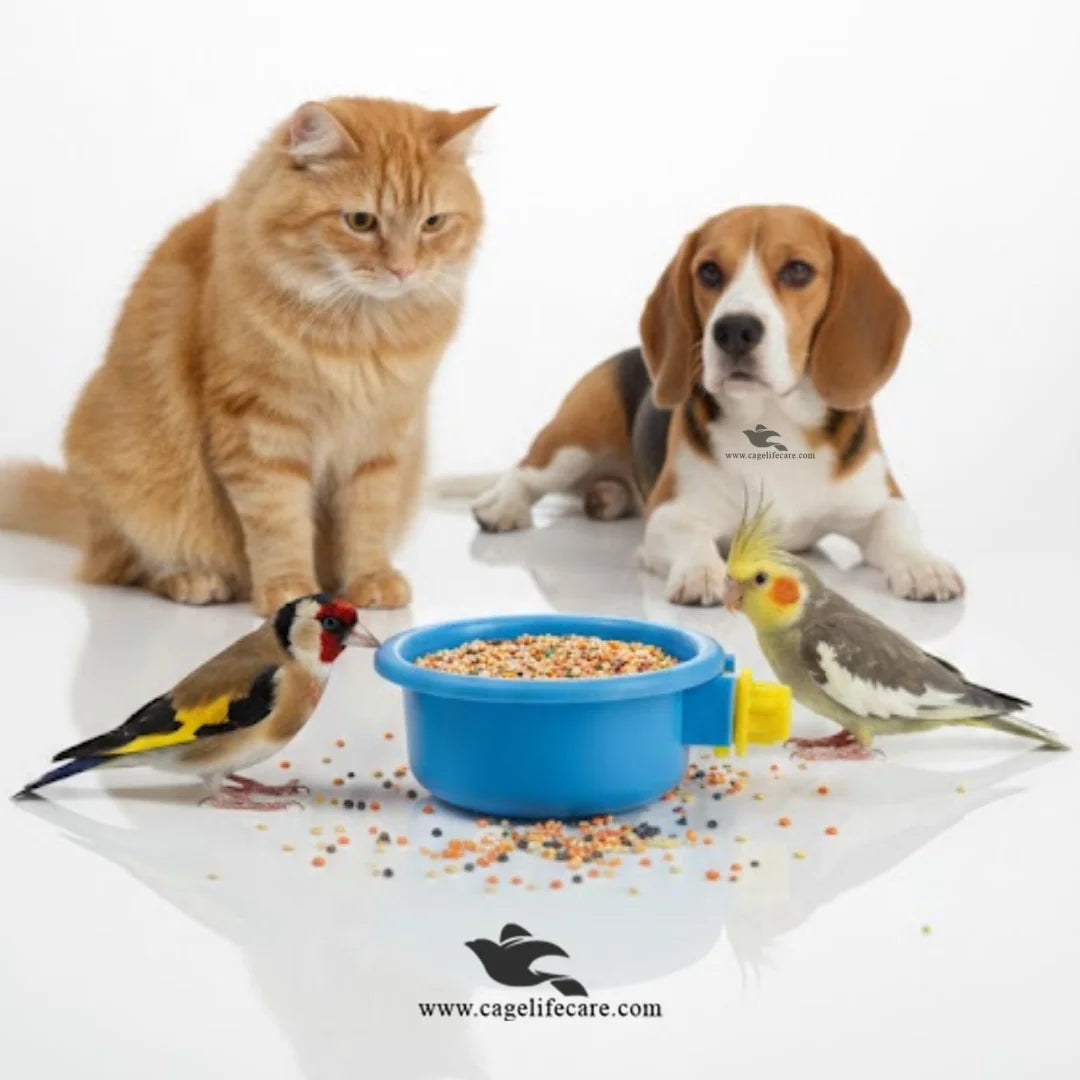Pet feeding bowl with nut-lock system