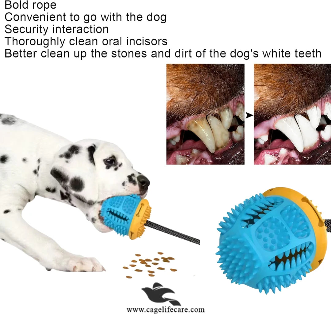 Multicolor rope ball for fetch and play