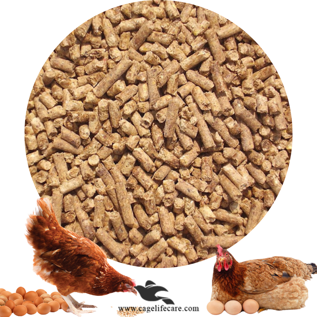 Layers Feed Mix