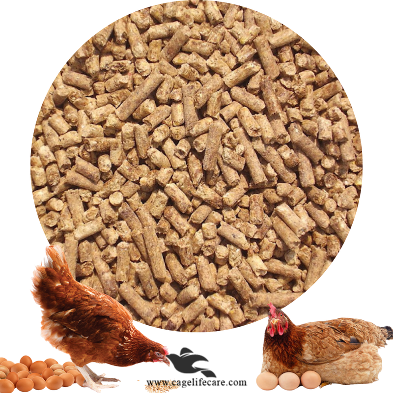 Layers Feed Mix