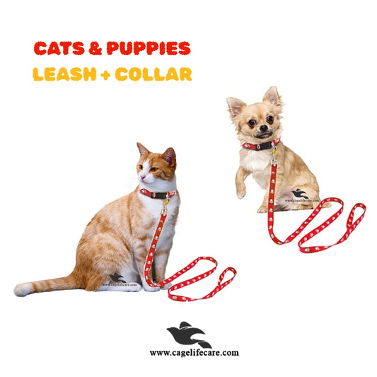 Leash with Flower Collar For Cats and Puppies