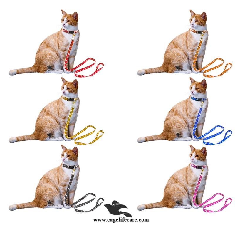 Leash with Flower Collar For Cats and Puppies