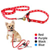 Leash with Flower Collar For Cats and Puppies
