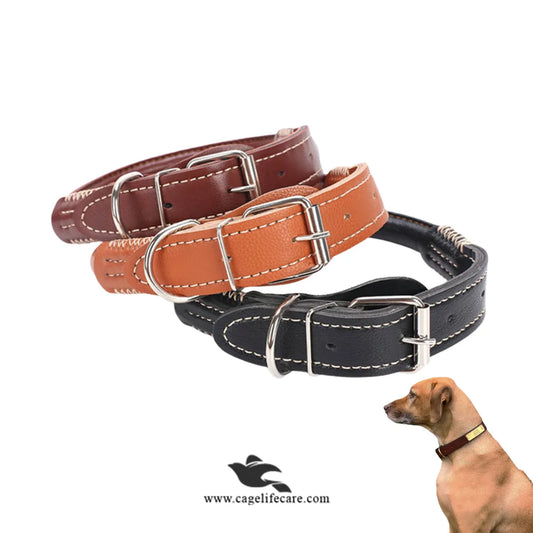 Leather Dog Collar with Double D Center – Hi-Quality