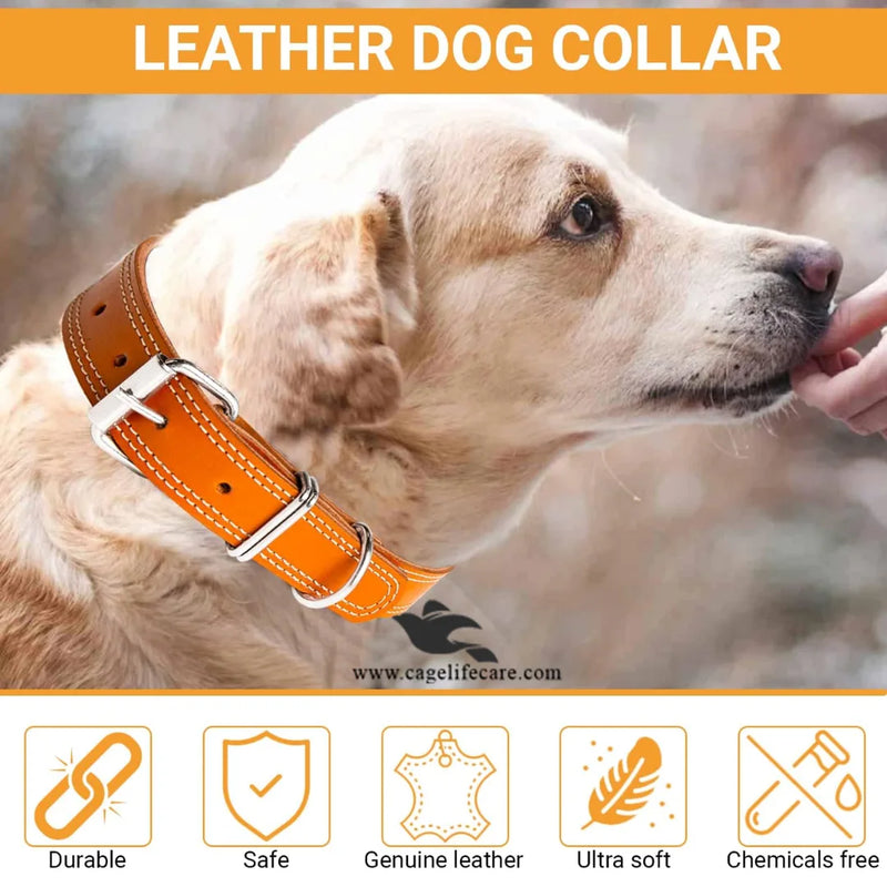 Leather Dog Collar with Double D Center – Hi-Quality