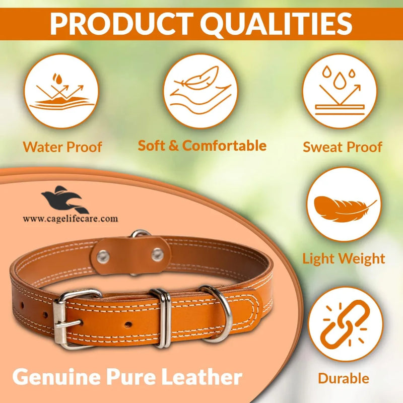 Leather Dog Collar with Double D Center – Hi-Quality