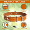 Leather Dog Collar with Double D Center – Hi-Quality