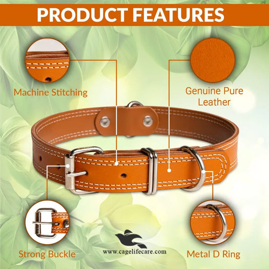 Leather Dog Collar with Double D Center – Hi-Quality