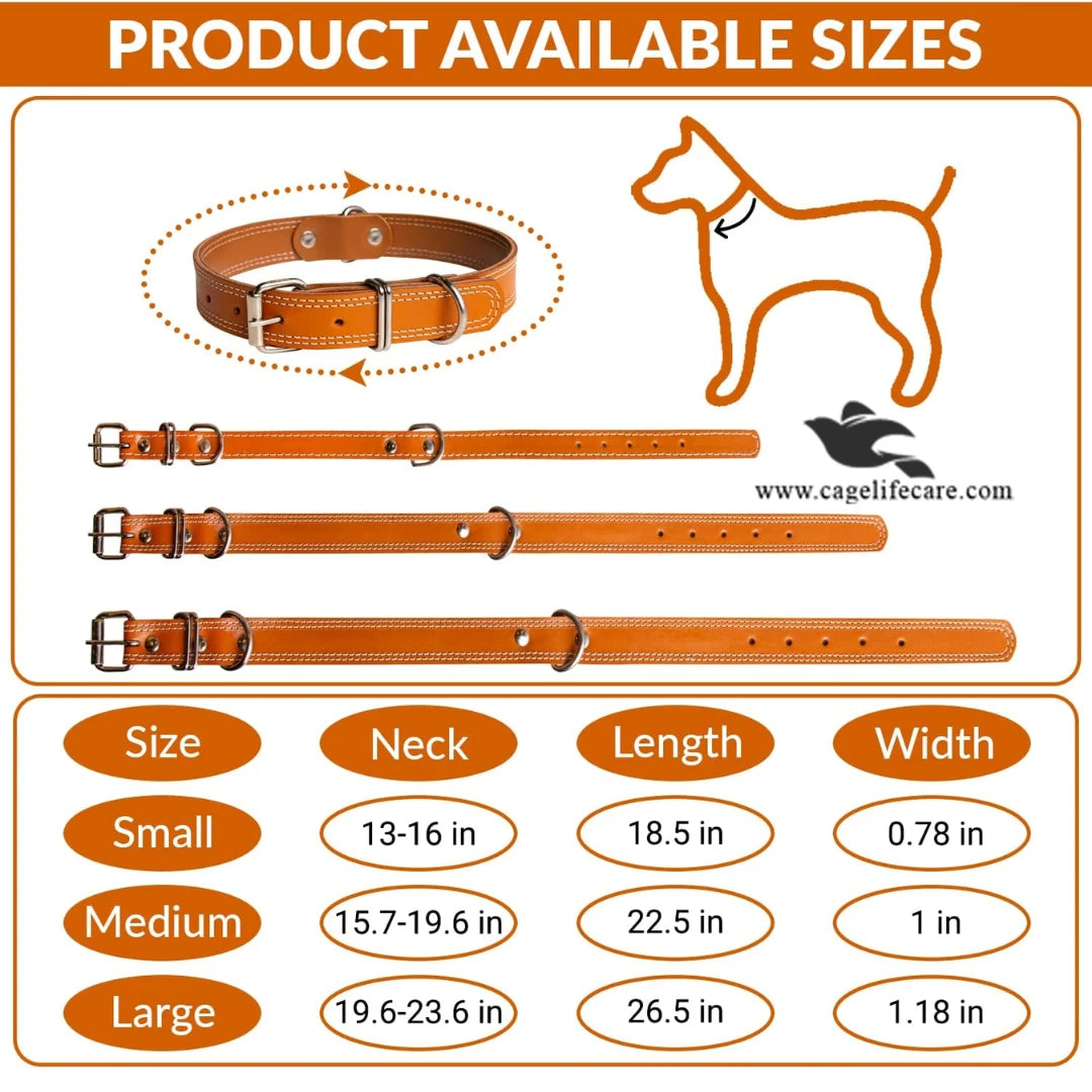 Leather Dog Collar with Double D Center – Hi-Quality