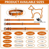 Leather Dog Collar with Double D Center – Hi-Quality
