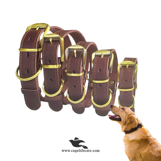 Leather Dog Collar with Golden Buckle – Hi-Quality