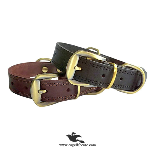 Leather Dog Collar with Golden Buckle – Hi-Quality