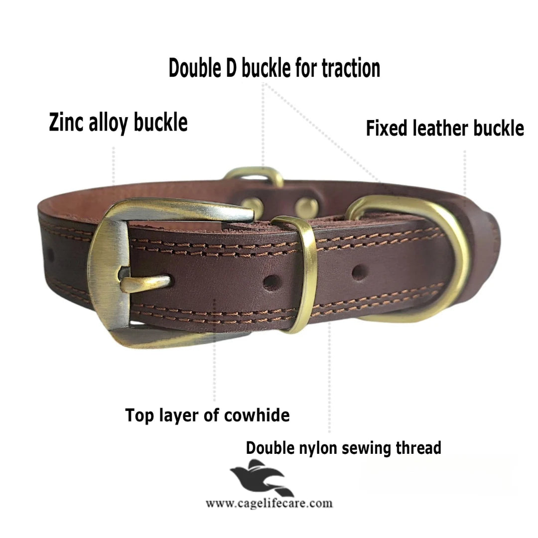 Leather Dog Collar with Golden Buckle – Hi-Quality