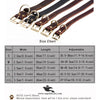 Leather Dog Collar with Golden Buckle – Hi Quality