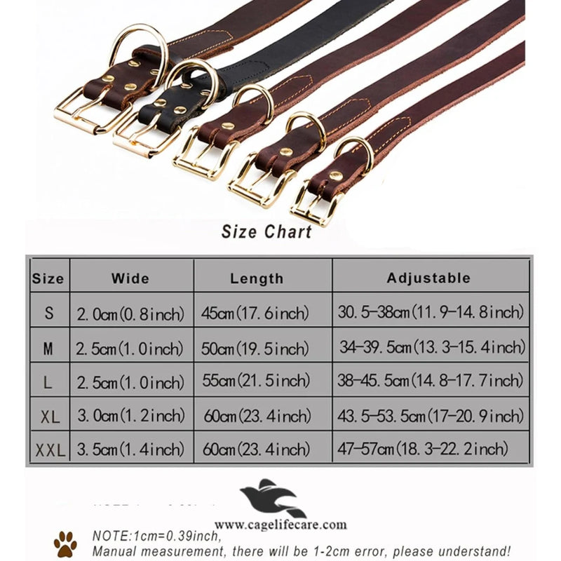 Leather Dog Collar with Golden Buckle – Hi Quality