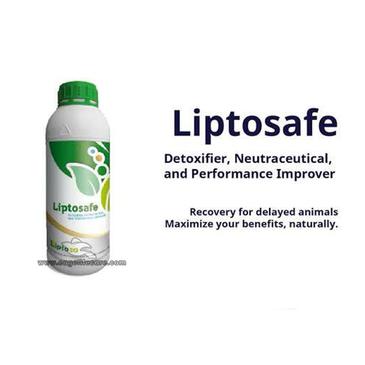 Liptosafe Liver Tonic – Advanced Liver Support & Detoxifier for Birds & Poultry