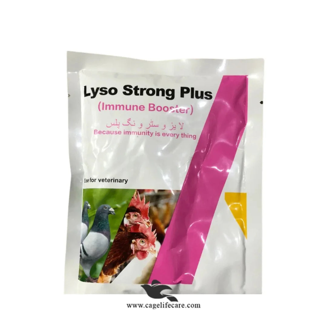 Liso Strong Plus Biotin – Advanced Immune Booster for All Types of Birds