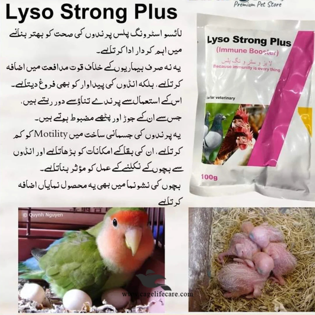 Liso Strong Plus Biotin – Advanced Immune Booster for All Types of Birds