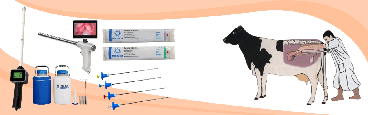 Livestock (AI) Equipment
